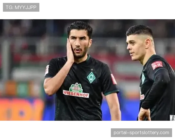 柏林赫塔新主场建设遇阻,因环保评估延期恐影响2027年启用